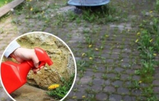 Pomješajte ove sastojke i nikad nećete imati problem sa korovom ispred kuće