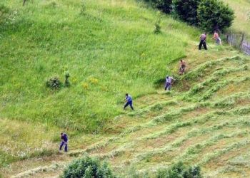 Sad nam sve na dugme ali ne valja, nekada se ranilo i umivalo hladnom vodom
