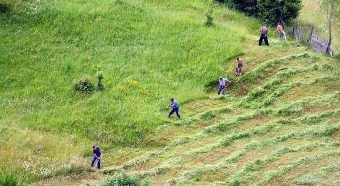 Sad nam sve na dugme ali ne valja, nekada se ranilo i umivalo hladnom vodom