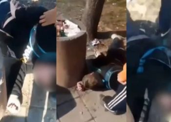 Još jedno monstruzno nasilje u Srbiji, izvršilac nedavno objesio pet pasa VIDEO
