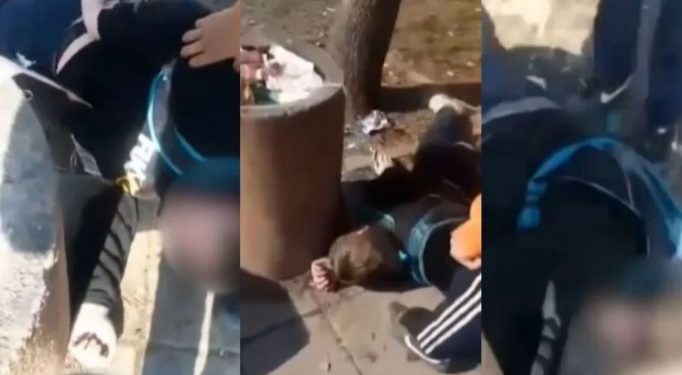 Još jedno monstruzno nasilje u Srbiji, izvršilac nedavno objesio pet pasa VIDEO