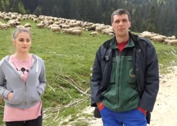 Hasan sa ćerkom Azeminom vode brigu o 500 ovaca VIDEO