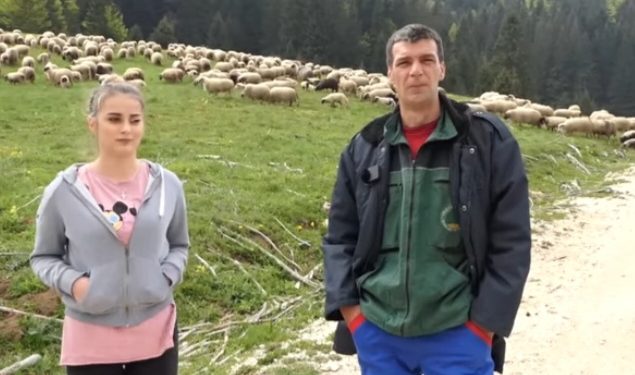 Hasan sa ćerkom Azeminom vode brigu o 500 ovaca VIDEO