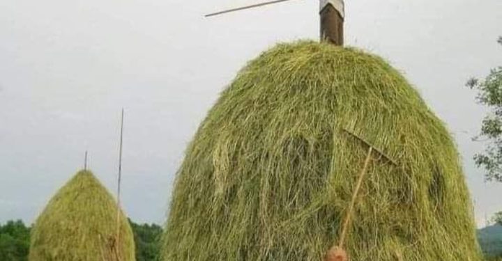 Nekada se nije mogao zamislit muškarac na selu koji nije znao napraviti sijeno