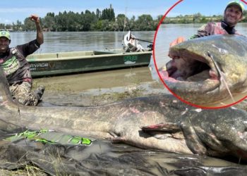 Ribolovac se prestravio kad je upecao soma, najvećeg ikada uhvaćenog FOTO