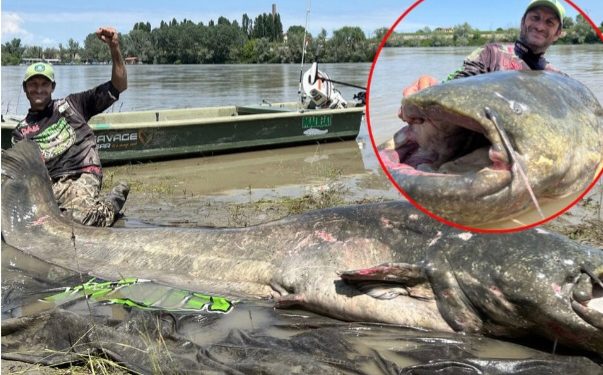 Ribolovac se prestravio kad je upecao soma, najvećeg ikada uhvaćenog FOTO