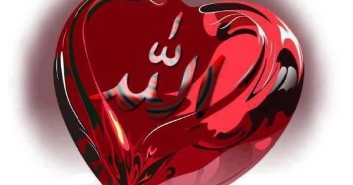 Čistoća srca od zavidnosti i zlobe prema muslimana je džennetski užitak na dunjaluku
