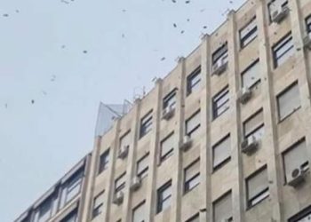 Sa vrha zgrade bacio pare, prolaznici u čudu, neku posmatrali neki kupili pare VIDEO
