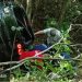 Auto iz Srbije sletelo u Moraču, dvije osobe povređene