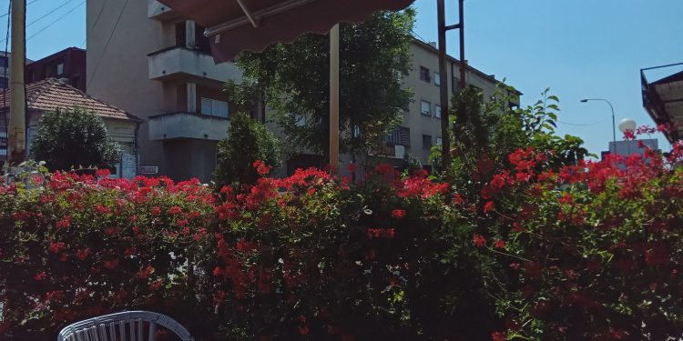 Crveni meteo alarma na teritoriji cijele Srbije, temperature do 40 stepeni