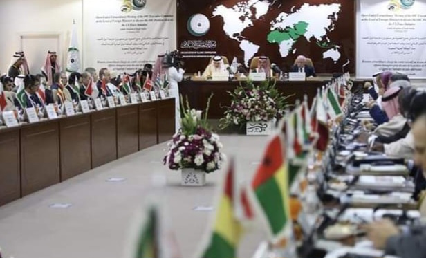 Organizacija islamske saradnje osudila je izraelsku vojnu operaciju u palestinskom gradu Jenin