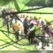U Potočarima 11. jula biće dženaza i ukop 30 tijela pronađenih u nekoliko grobnica, žrtava genocida