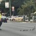 Policajac u Sarajevu zaustavio saobraćaj da bi prošla patka i pačići