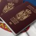 “Srbiju svake godine napusti 45 hiljada ljudi“: Koliko nas košta odlazak mladih