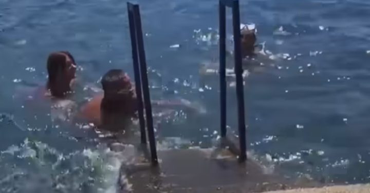 Plivači u Utjehi izvadili malu ajkulu VIDEO