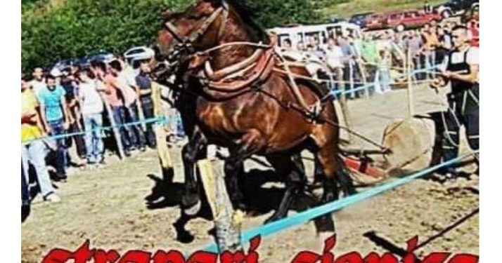 Za ljubitelje konjičkog sporta u Sjenici 5. avgusta Štraparijada