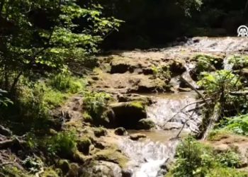 Netaknuta priroda na izvoru Miljacke predstavlja izvor inspiracije i ostavlja bez daha  VIDEO