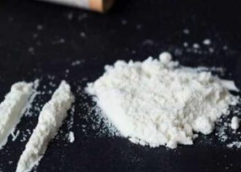 Policajci iz Rožaja krivično odgovorni za nestanak i zamjenu 120 kg droge