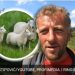 Tri žene me ostavile zbog ovaca, više volim ovce od žena VIDEO