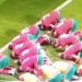 Emotivno proslavljen gol Maroka, ceo stadan plakao VIDEO