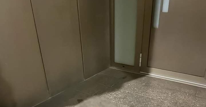 Nepoznata osobe ostavile  sinoć svinjsku glavu na ulazu u džamiju u Grazu u Austriji