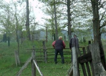 Košije se posvađali oko međe, koristili noževe pa se povrijedili