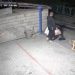 Novi Pazar: Prosuo komšiji smeće da bi uzeo džak VIDEO