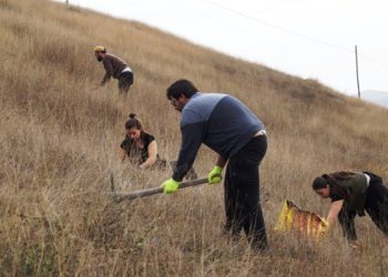 Novi Pazar: Na Paričkom brdu zasađena “Palestinska šuma”