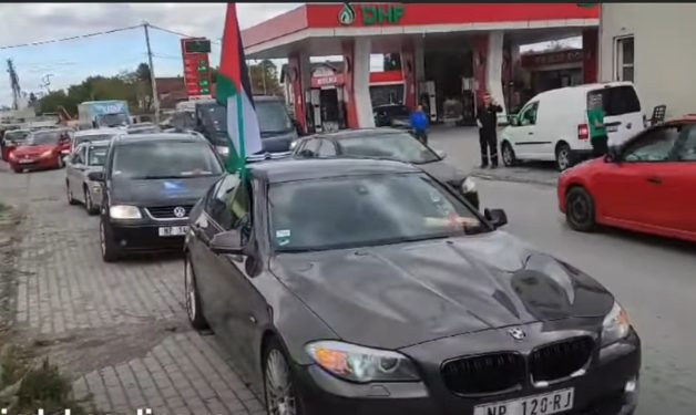 VIDEO: Policija na Kosovu skida zastavu Palestine sa auta novopazarskih tablica