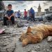 UNRWA: Nemilosrdno izraelsko bombardiranje blokirane Palestine nazvala “šokantnim”