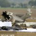 Srušio se avion u Austriji koji je poleteo iz Zagreba, 4 osobe poginule