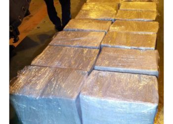 A.Z. iz Novog Pazara uhapšen na Gradini zbog šverca droge, zaplenjeno mu 165 kg