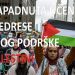 TUTIN: Napad pištoljem na učenice ženske Medrese R.A. i G.M. zbog podrške Palestini