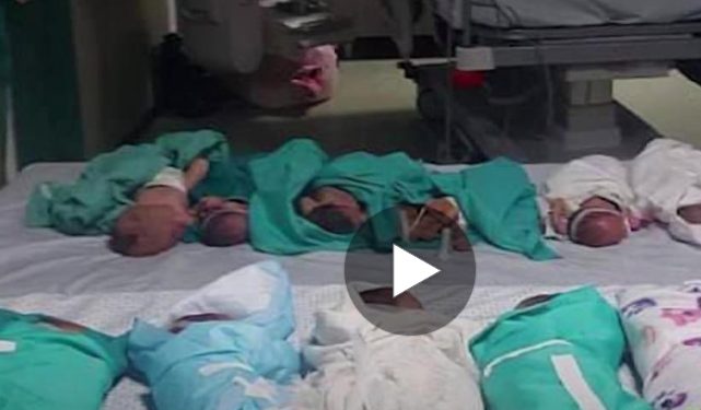 Prijevremeno rođene bebe umiru zbog prestanka rada inkubatora, ne postoji veći GENOCID