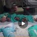 Prijevremeno rođene bebe umiru zbog prestanka rada inkubatora, ne postoji veći GENOCID