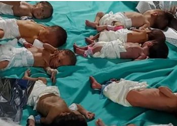 Gaza/Al Šifa: Prijevremeno rođene bebe prebačene u Rafi, svi pacijenti na intenzivnoj umrli