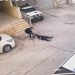 Kamere zabilježile trenutak ubistva dvoje palestinske djece iz snajpera cionista