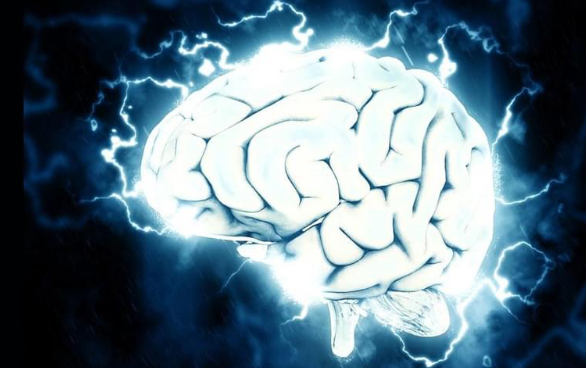 Neurolog objasnio kako možemo podmladiti naš mozak