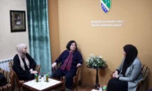 Arhivska grada o kršenju ljudskih prava devedesetih, predata BNV-u