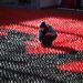 Fejza-Idrizi kaže da je napravila mozaik albanske zastave od 120.000 origami papira