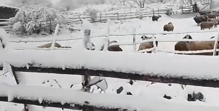 Biće danas hladno i oblačno uz kišu, susnežicu i sneg u celoj zemlji