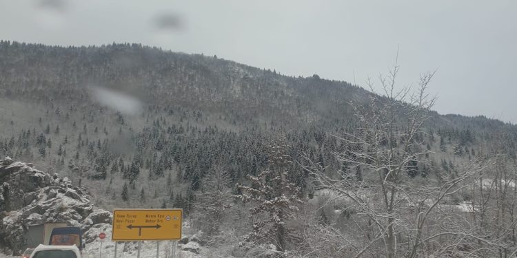 Snijeg prekrio veći deo  zemlje, kako nas vrijeme očekuje do kraja januara