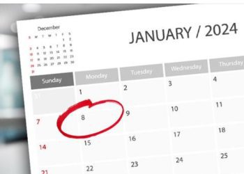 8. januar neradni dan, zaključak Vlade Srbije