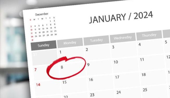 8. januar neradni dan, zaključak Vlade Srbije