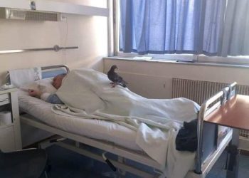 Podsjetimo se priče o golubu i bolesniku, svako dobro se će te stići kad tad