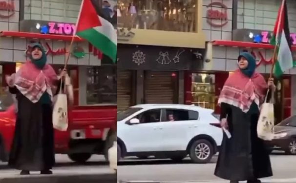 Snimak Egipćanke koja sama protestuje protiv agresije u Pojasu Gaze, slika stanja Arapa