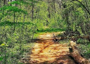 Monstruozni zločin nad ocem četvoro djece, u režiji supruge i ljubavnika, vezan sa rasporenim stomakom