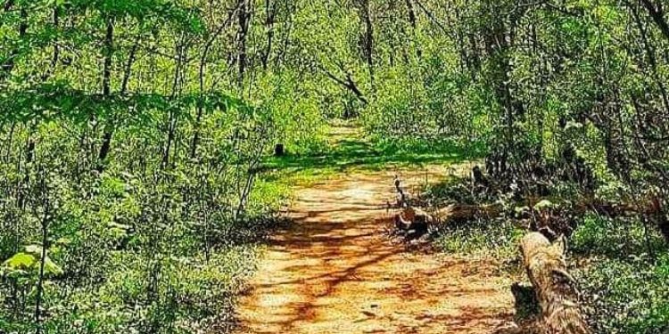 Monstruozni zločin nad ocem četvoro djece, u režiji supruge i ljubavnika, vezan sa rasporenim stomakom