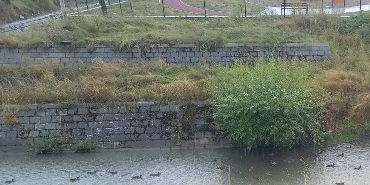 Promjena temperature- oblačno i hladnije, ali opet se vraćaju prolećene