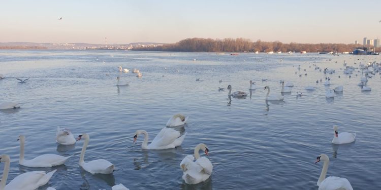 Temperatura i dalje iznad prosjeka, najtopliji februar u poslednjih 136 godina
